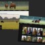 Captures d'écran du site Internet de l'Écurie des Charmes